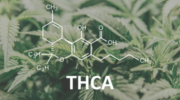 What is the difference between thcA and thc?