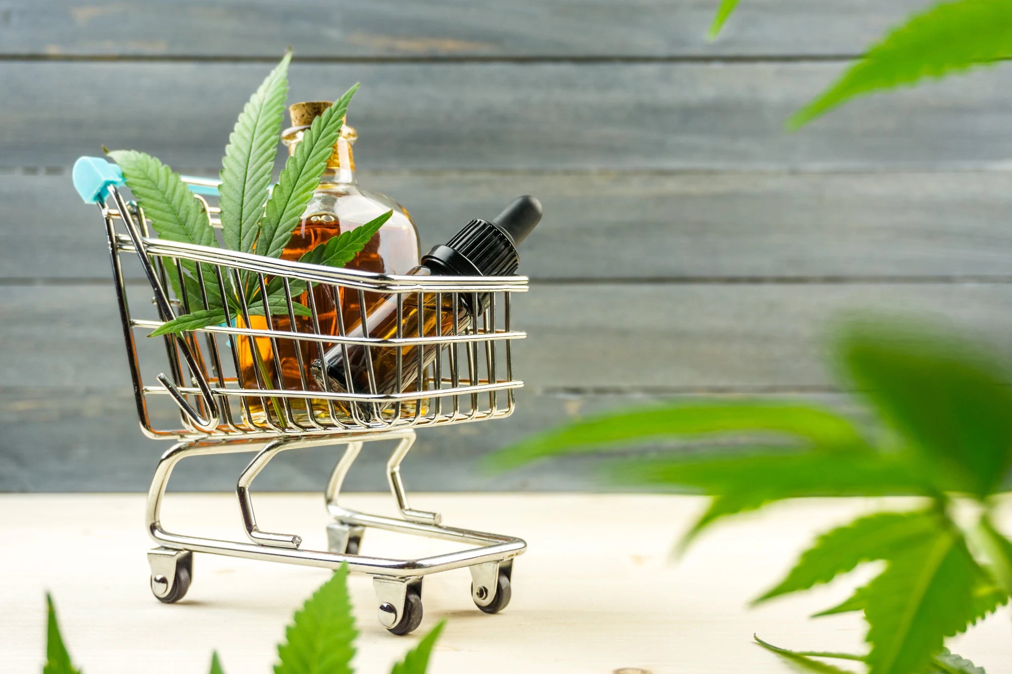 A Guide to Shopping for the Best CBD Products