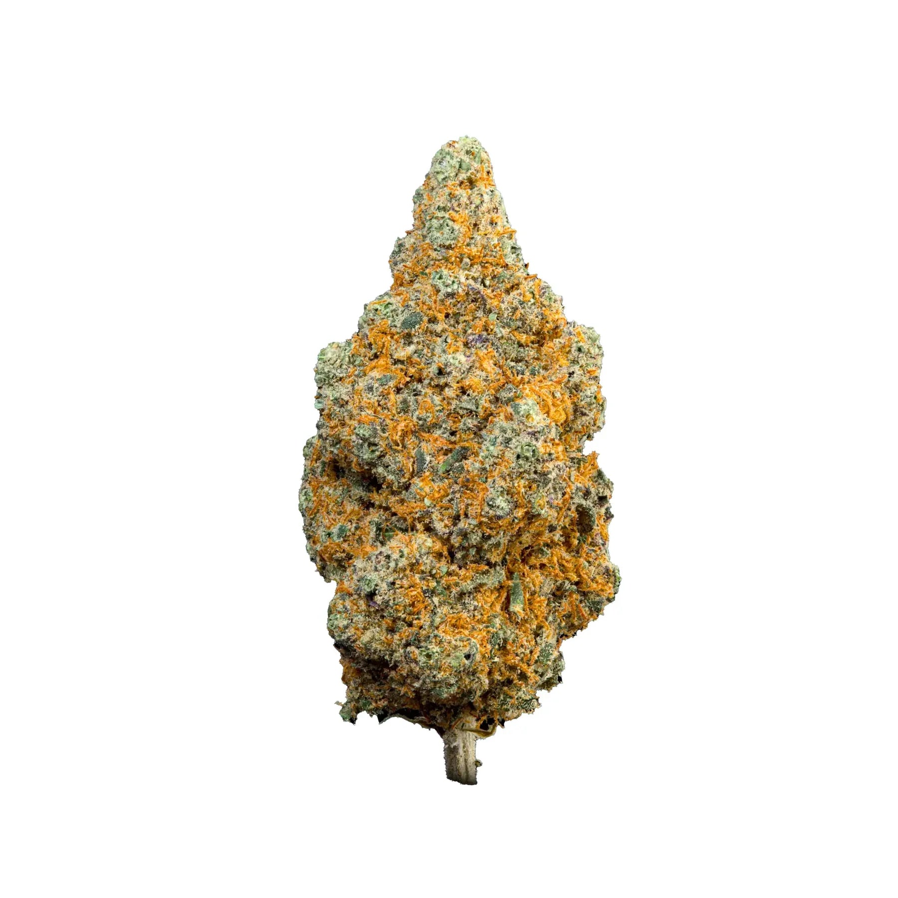 WEEDREAM Amnesia Indoor - Limited Edition