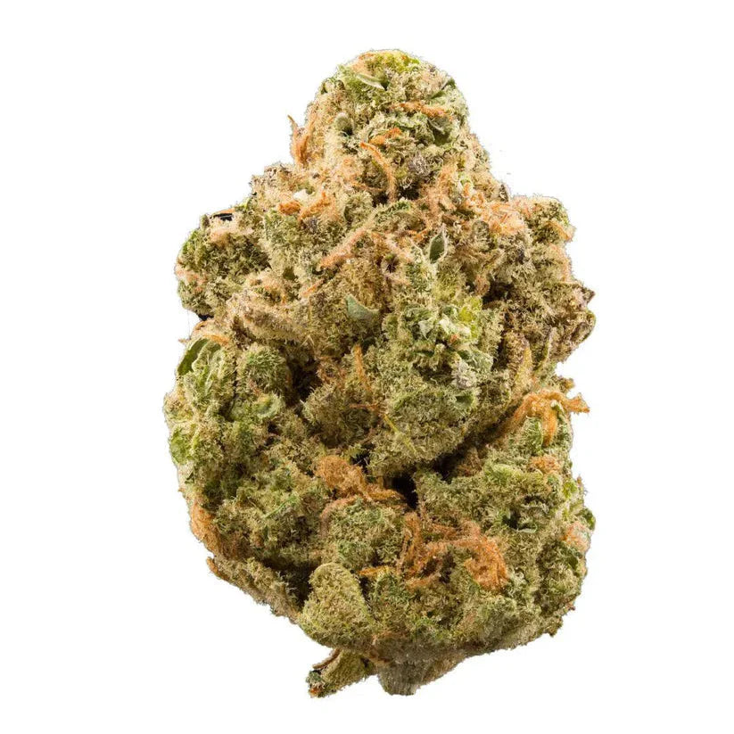 WEEDREAM Amnesia Indoor - Limited Edition