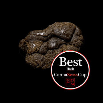 Ketama Gold de Biosativa Winner of the Canna Swiss Cup 2024 5gr