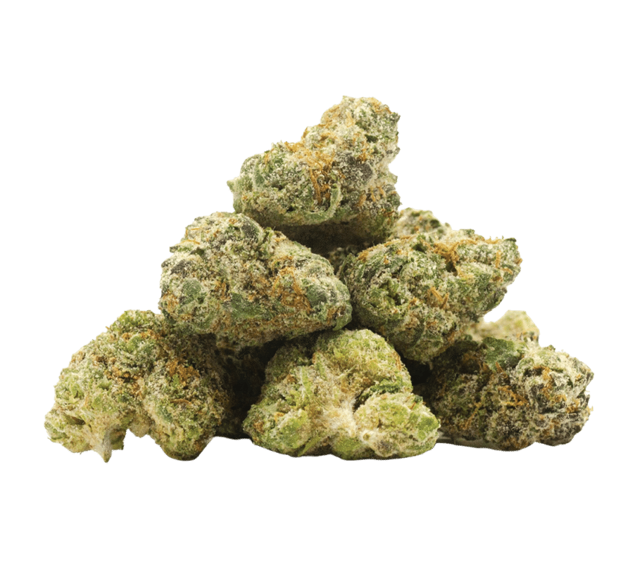 Northern Light X Indoor - Mini buds – fleur CBD Weedream