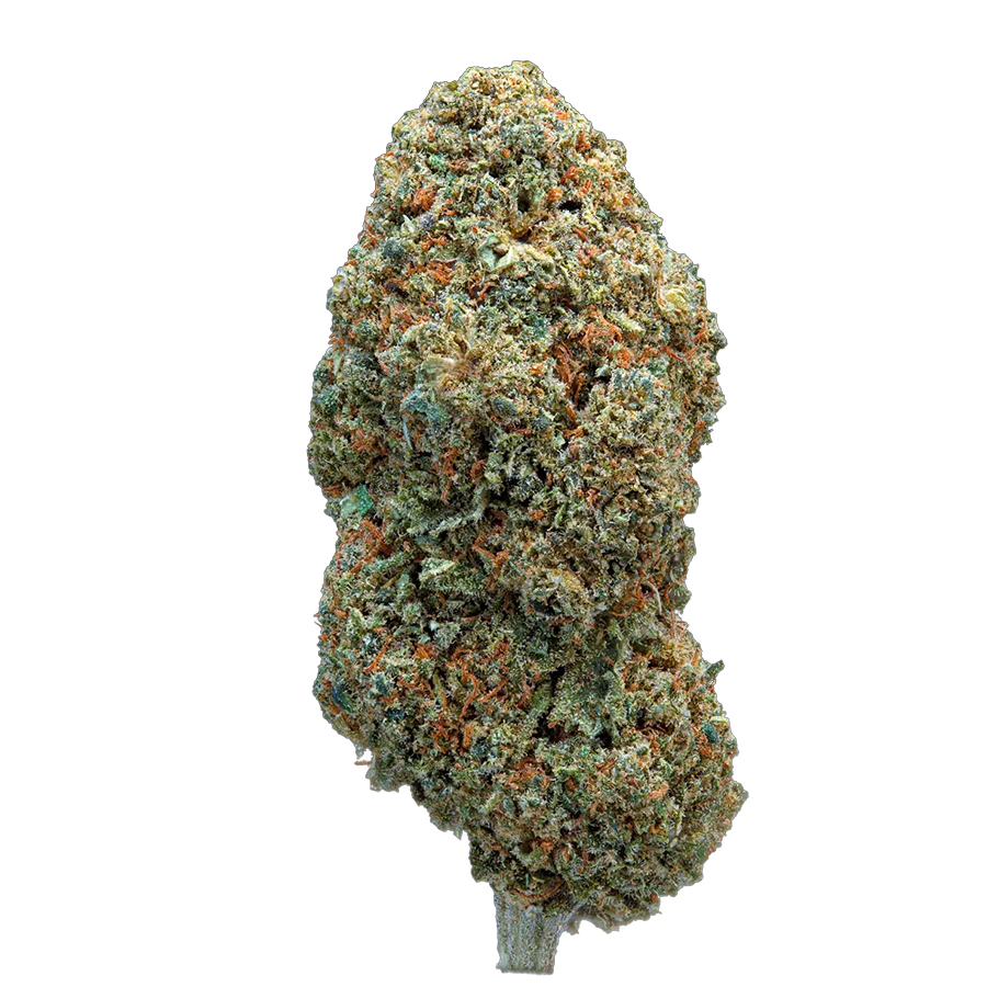 Strawberry Cream – Hybride – fleur CBD Weedream