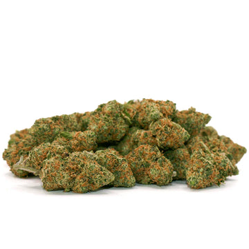 Blueberry Muffin Indoor - Mini buds
